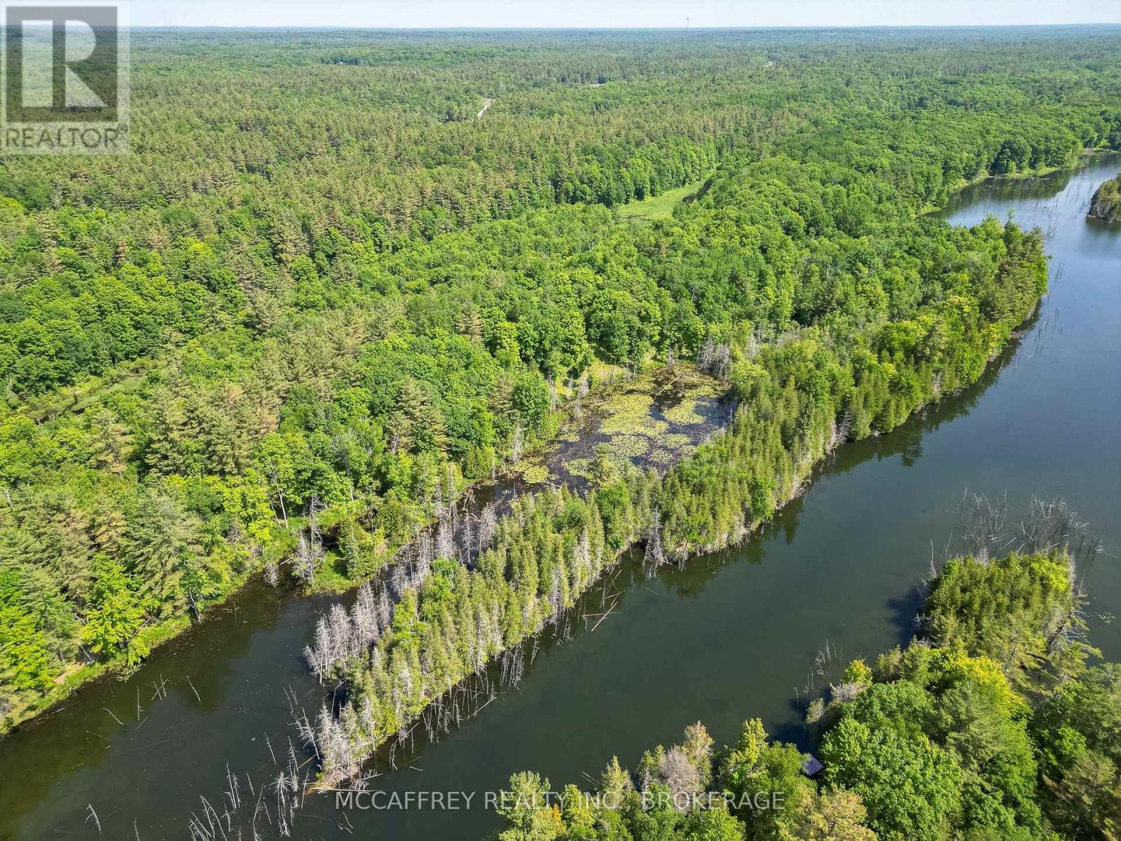 Pt Lt 4 Con 7 Kaladar County Rd 41 Road, Addington Highlands, Ontario  K0H 1Z0 - Photo 16 - X12676544