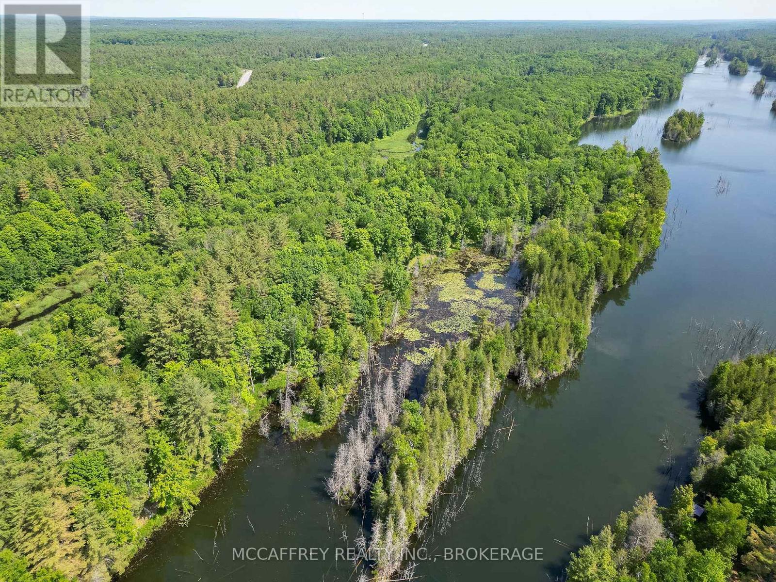 Pt Lt 4 Con 7 Kaladar County Rd 41 Road, Addington Highlands, Ontario  K0H 1Z0 - Photo 17 - X12676544