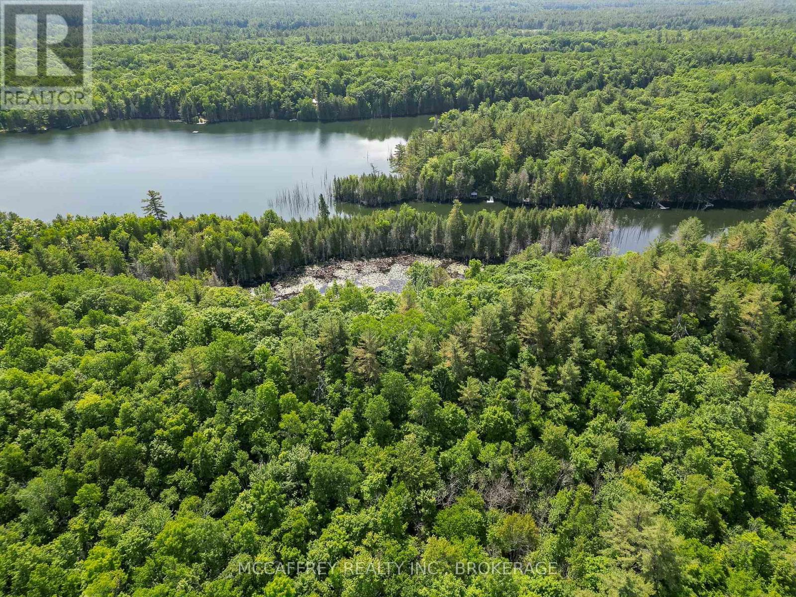 Pt Lt 4 Con 7 Kaladar County Rd 41 Road, Addington Highlands, Ontario  K0H 1Z0 - Photo 5 - X12676544