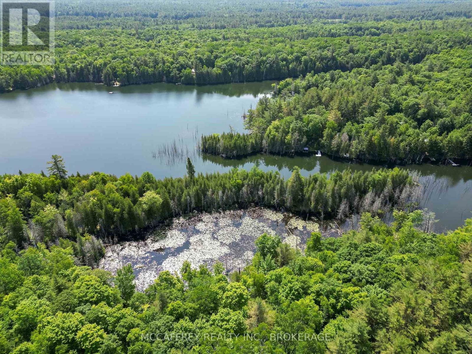 Pt Lt 4 Con 7 Kaladar County Rd 41 Road, Addington Highlands, Ontario  K0H 1Z0 - Photo 6 - X12676544