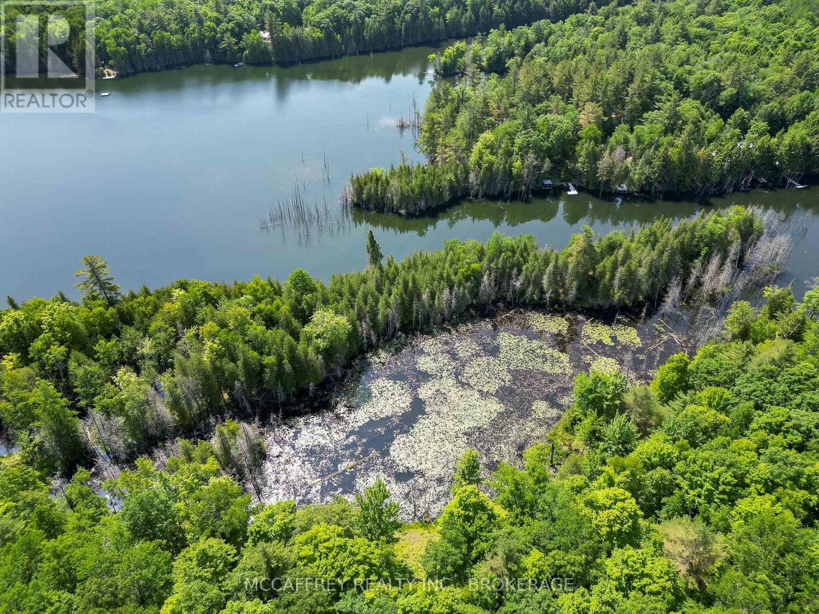 Pt Lt 4 Con 7 Kaladar County Rd 41 Road, Addington Highlands, Ontario  K0H 1Z0 - Photo 7 - X12676544