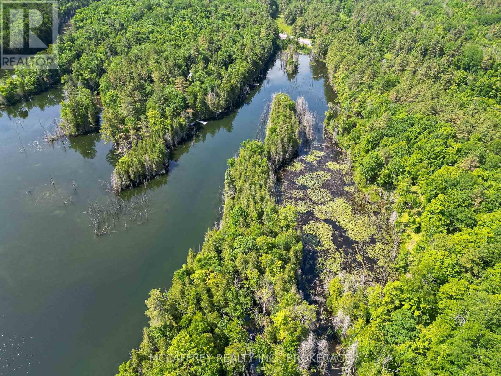 Pt Lt 4 Con 7 Kaladar County Rd 41 Road, Addington Highlands, Ontario  K0H 1Z0 - Photo 8 - X12676544