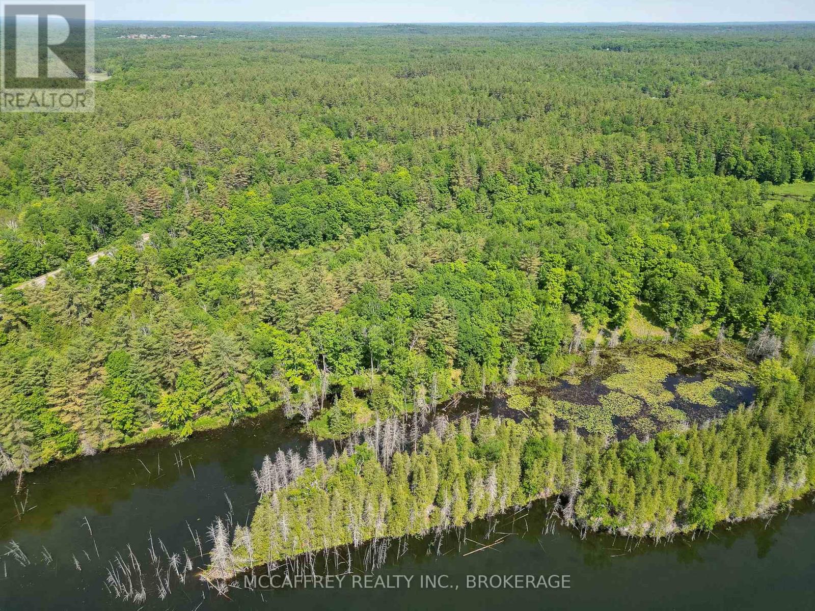 Pt Lt 4 Con 7 Kaladar County Rd 41 Road, Addington Highlands, Ontario  K0H 1Z0 - Photo 9 - X12676544