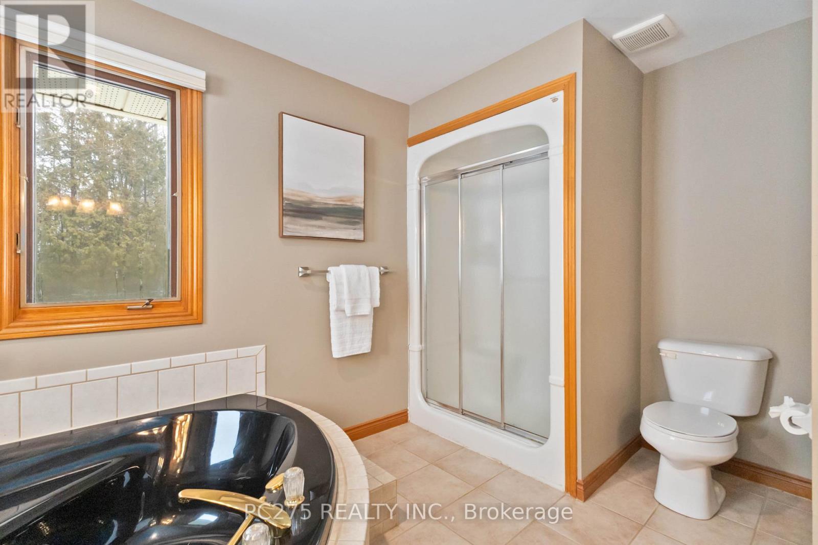 51 Mountainview Crescent, London South, Ontario  N6J 4M7 - Photo 34 - X12676812