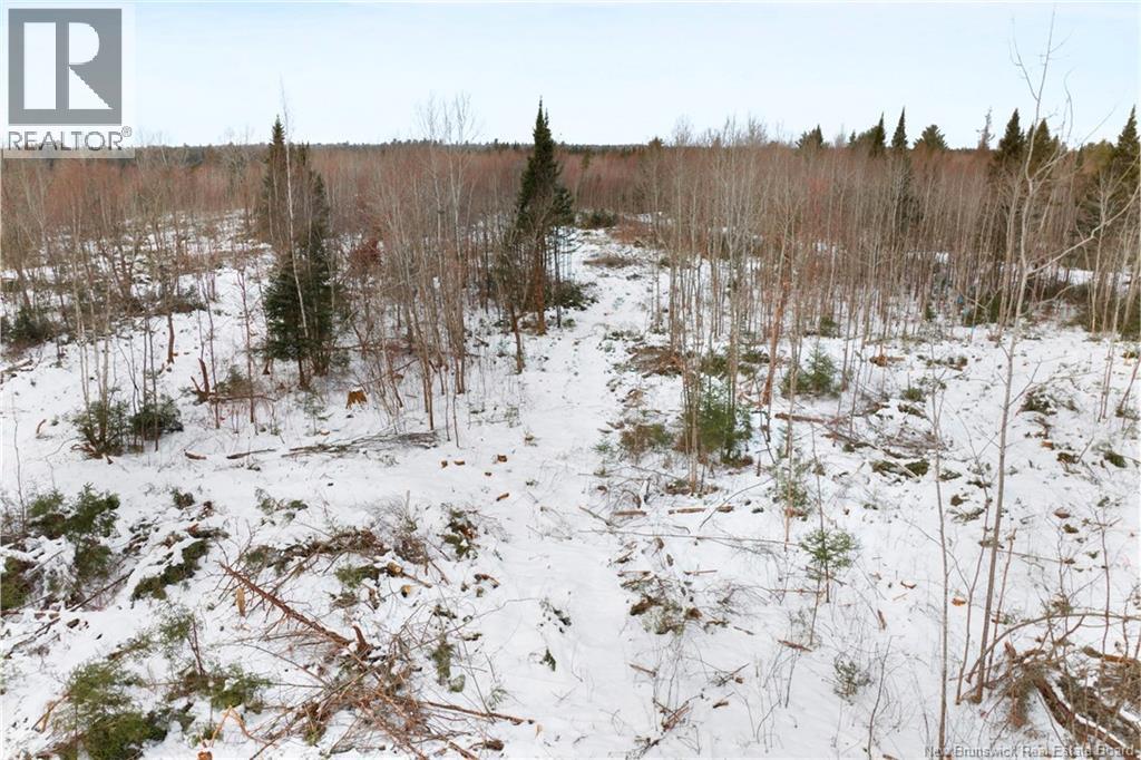 Lot 25-2 Cumberland Bay North Road, Cumberland Bay, New Brunswick  O0O 0O0 - Photo 10 - NB131881
