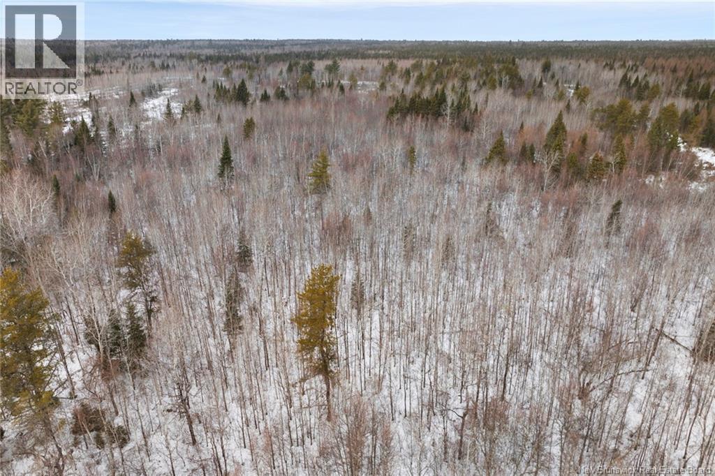 Lots 25-1 & 25-3 Cumberland Bay North Road, Cumberland Bay, New Brunswick  O0O 0O0 - Photo 13 - NB131878