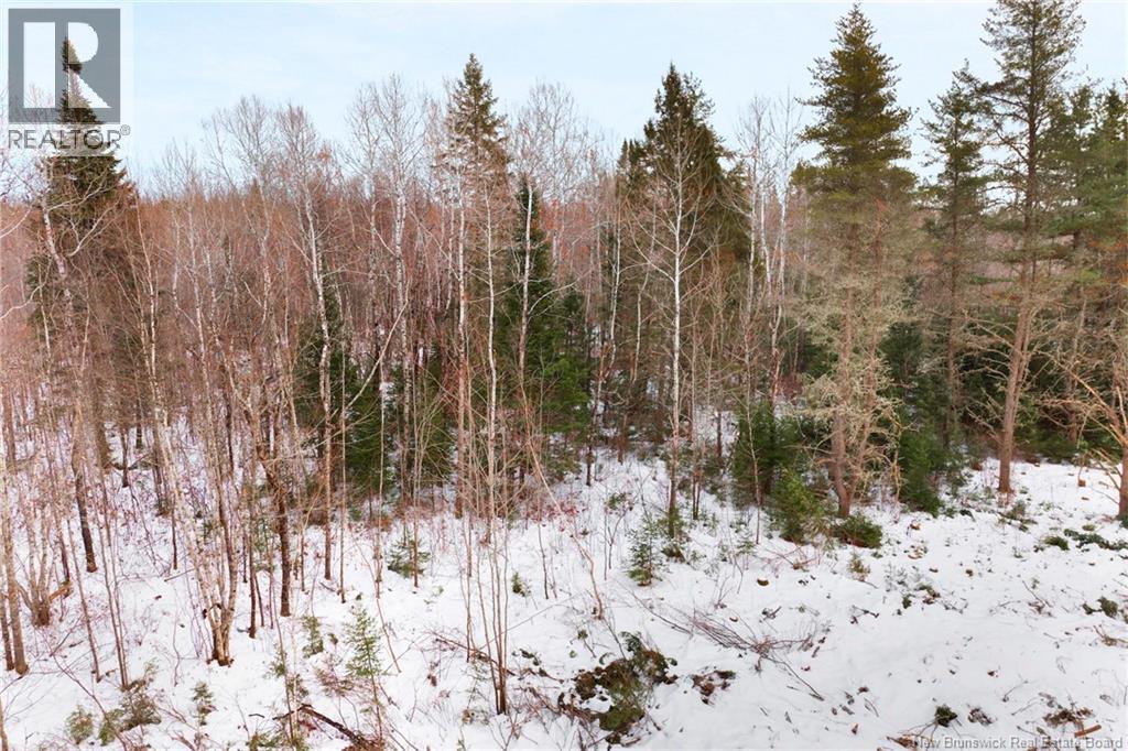 Lots 25-1 & 25-3 Cumberland Bay North Road, Cumberland Bay, New Brunswick  O0O 0O0 - Photo 16 - NB131878