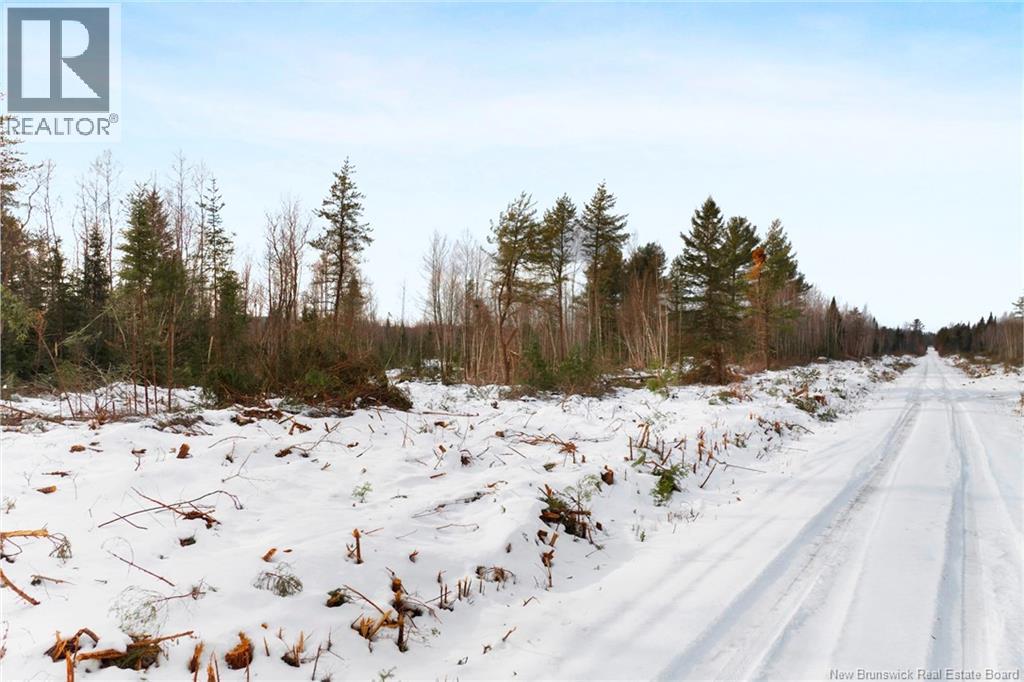 Lots 25-1 & 25-3 Cumberland Bay North Road, Cumberland Bay, New Brunswick  O0O 0O0 - Photo 18 - NB131878