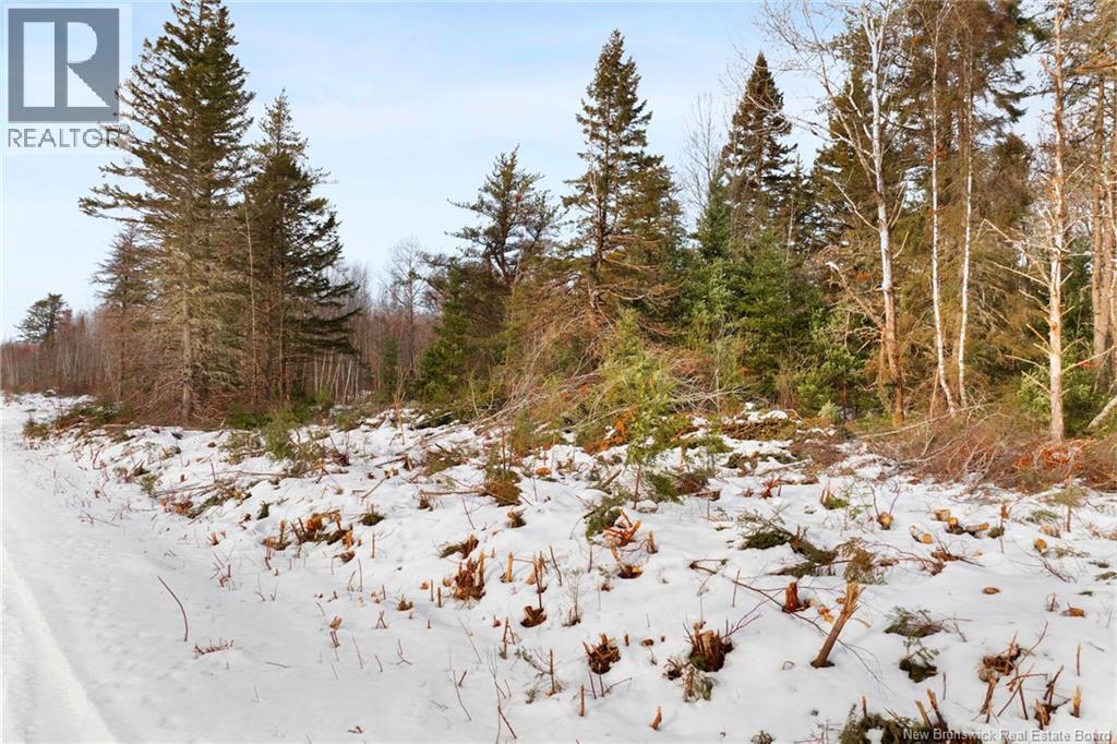 Lots 25-1 & 25-3 Cumberland Bay North Road, Cumberland Bay, New Brunswick  O0O 0O0 - Photo 19 - NB131878