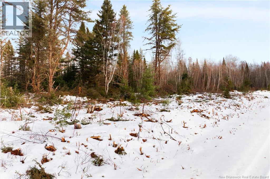 Lots 25-1 & 25-3 Cumberland Bay North Road, Cumberland Bay, New Brunswick  O0O 0O0 - Photo 20 - NB131878