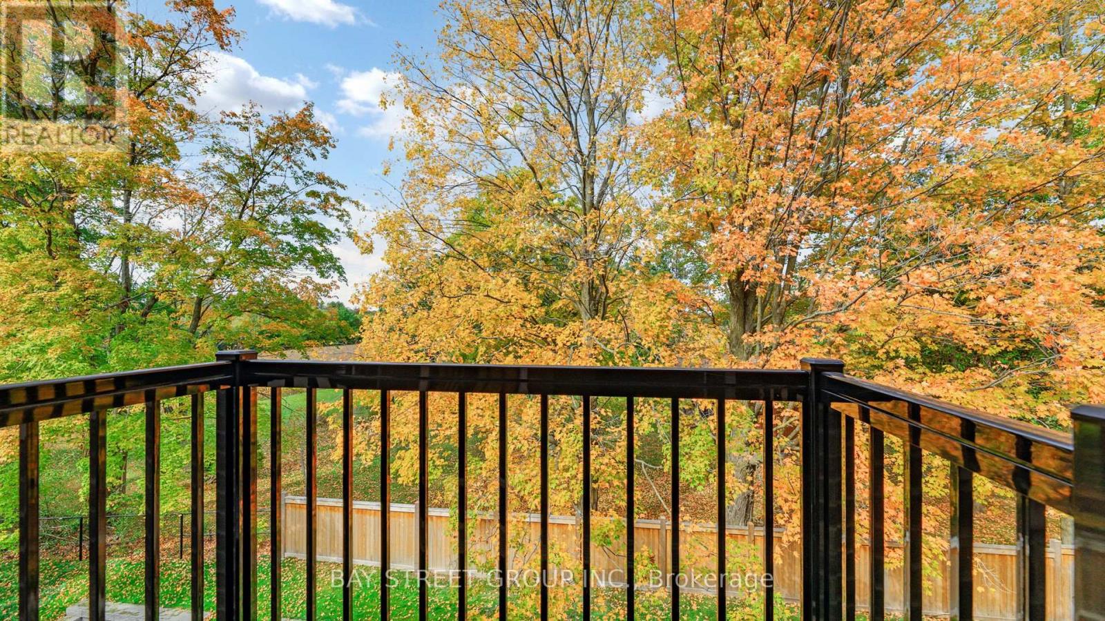 80 Puisaya Drive, Richmond Hill, Ontario  L4E 1L2 - Photo 29 - N12676778