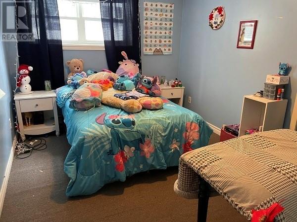 101 Brookfield Avenue, Corner Brook, Newfoundland & Labrador  A2H 2R5 - Photo 17 - 1293462