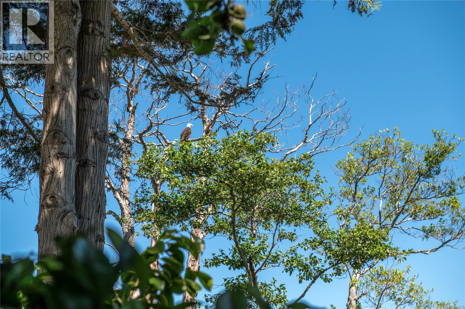 561 & 565 Island Hwy, Campbell River, British Columbia  V9W 2B9 - Photo 13 - 1022624