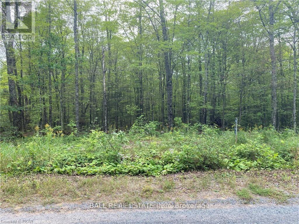 N/a Pcl 45-2 Sec M63 Road, Marmora And Lake, Ontario  K0L 1P0 - Photo 3 - X12676950