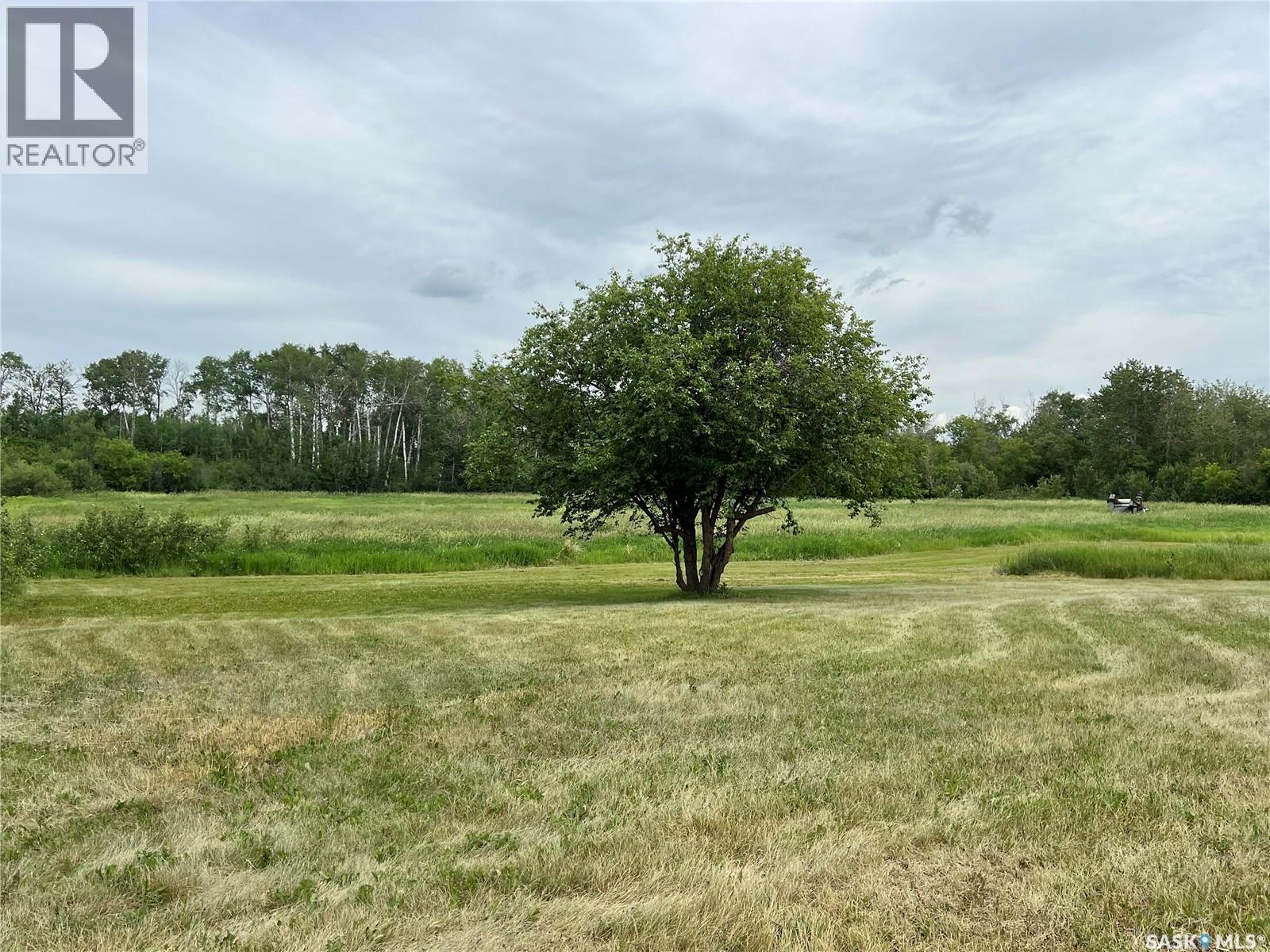 Hill Acreage, Porcupine Rm No. 395, Saskatchewan  S0E 1H0 - Photo 15 - SK017601