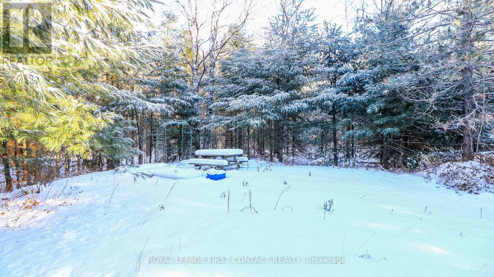 4033 Boyd Road, Severn, Ontario  L0K 2B0 - Photo 6 - S12676962