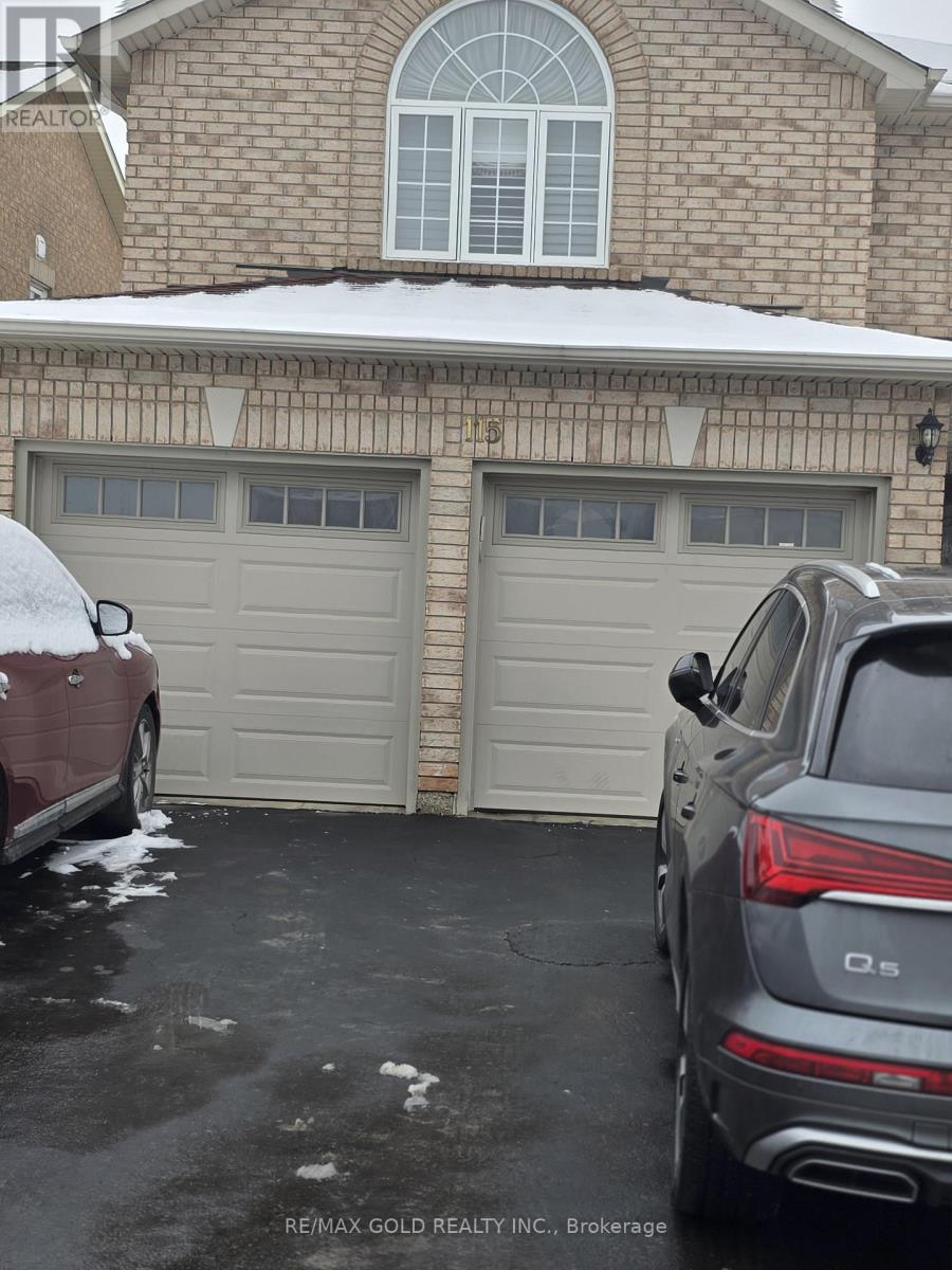 Basement - 115 Letty Avenue, Brampton, Ontario  L6Y 5E3 - Photo 1 - W12676992