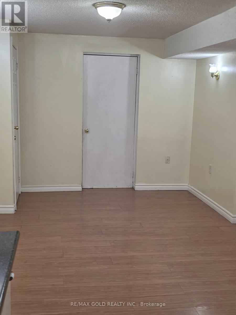 Basement - 115 Letty Avenue, Brampton, Ontario  L6Y 5E3 - Photo 7 - W12676992