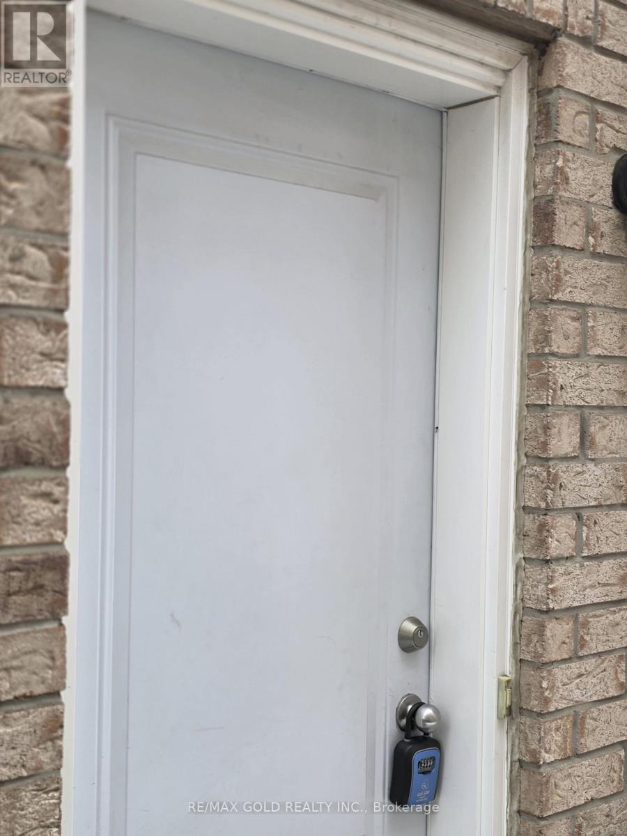 Basement - 115 Letty Avenue, Brampton, Ontario  L6Y 5E3 - Photo 8 - W12676992