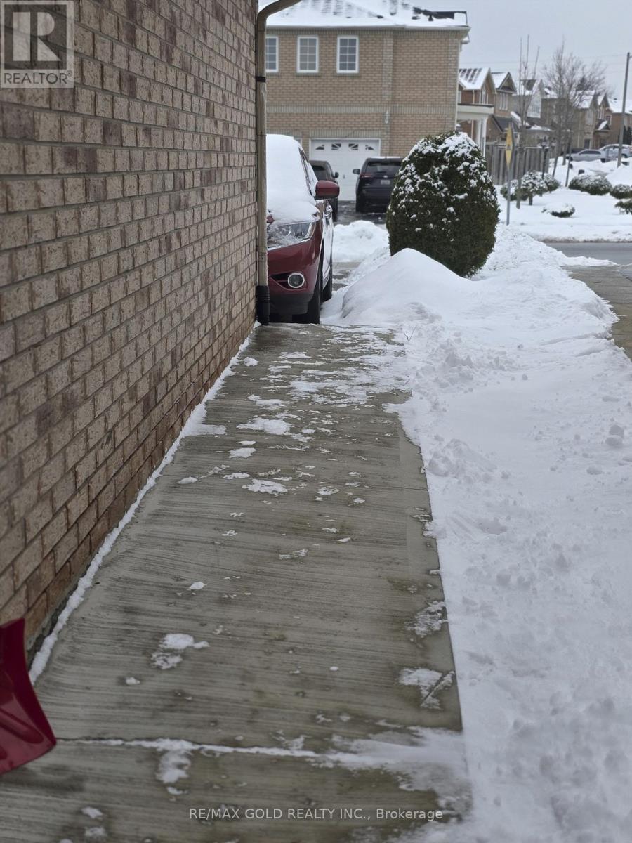 Basement - 115 Letty Avenue, Brampton, Ontario  L6Y 5E3 - Photo 9 - W12676992