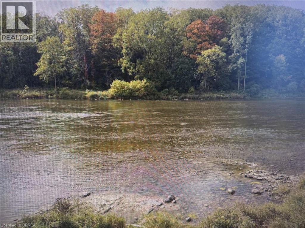 60 Willow Street, Paris, Ontario  N3L 2K6 - Photo 4 - 40796042