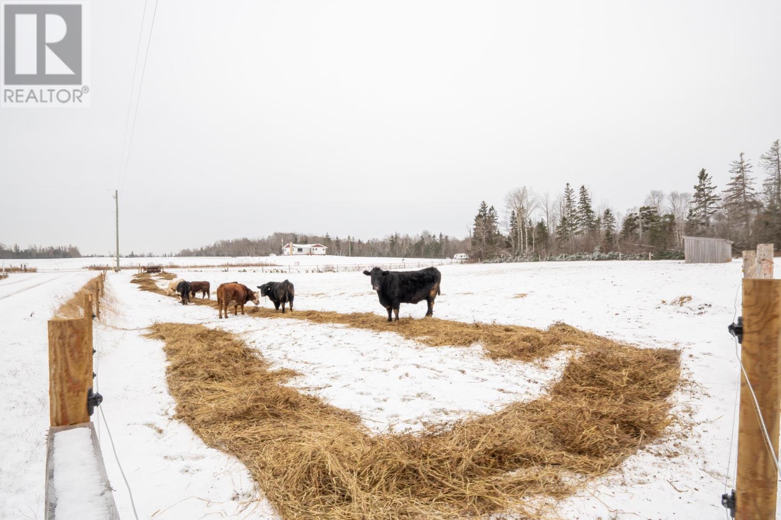 520 Abney Road, Murray River, Prince Edward Island  C0A 1W0 - Photo 2 - 202600426