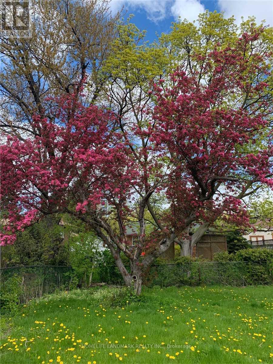 Bsmt - 70 Beacham Crescent, Toronto, Ontario  M1T 1N1 - Photo 21 - E12677170