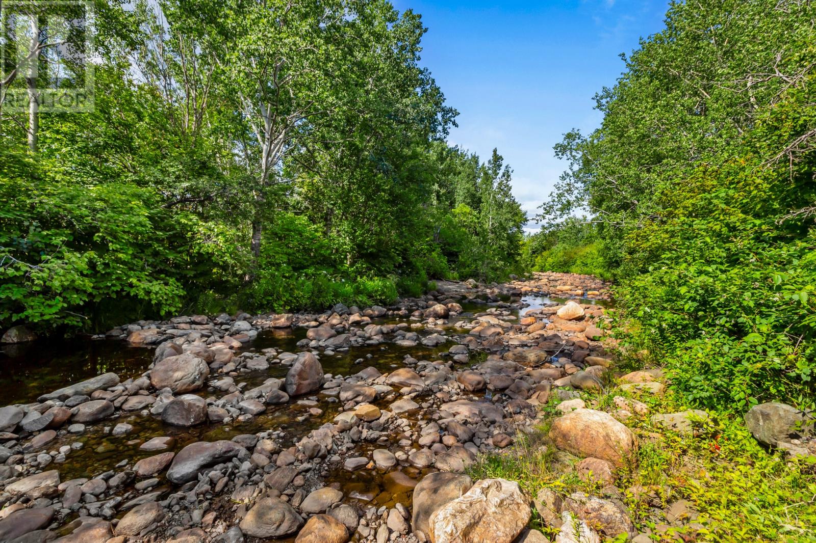 67 Tilleys Road, Clarenville, Newfoundland & Labrador  A5A 1Z3 - Photo 16 - 1293548