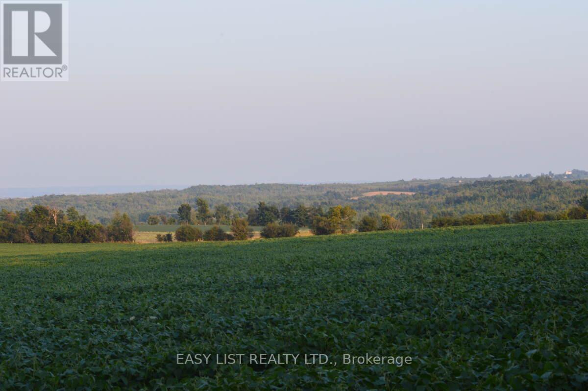 317278 Third Line, Meaford, Ontario  N4L 1W7 - Photo 40 - X12677138
