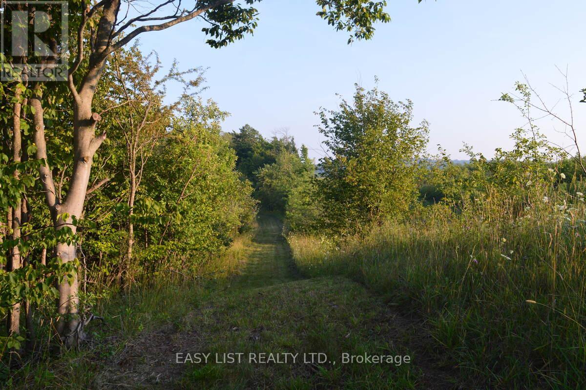 317278 Third Line, Meaford, Ontario  N4L 1W7 - Photo 41 - X12677138