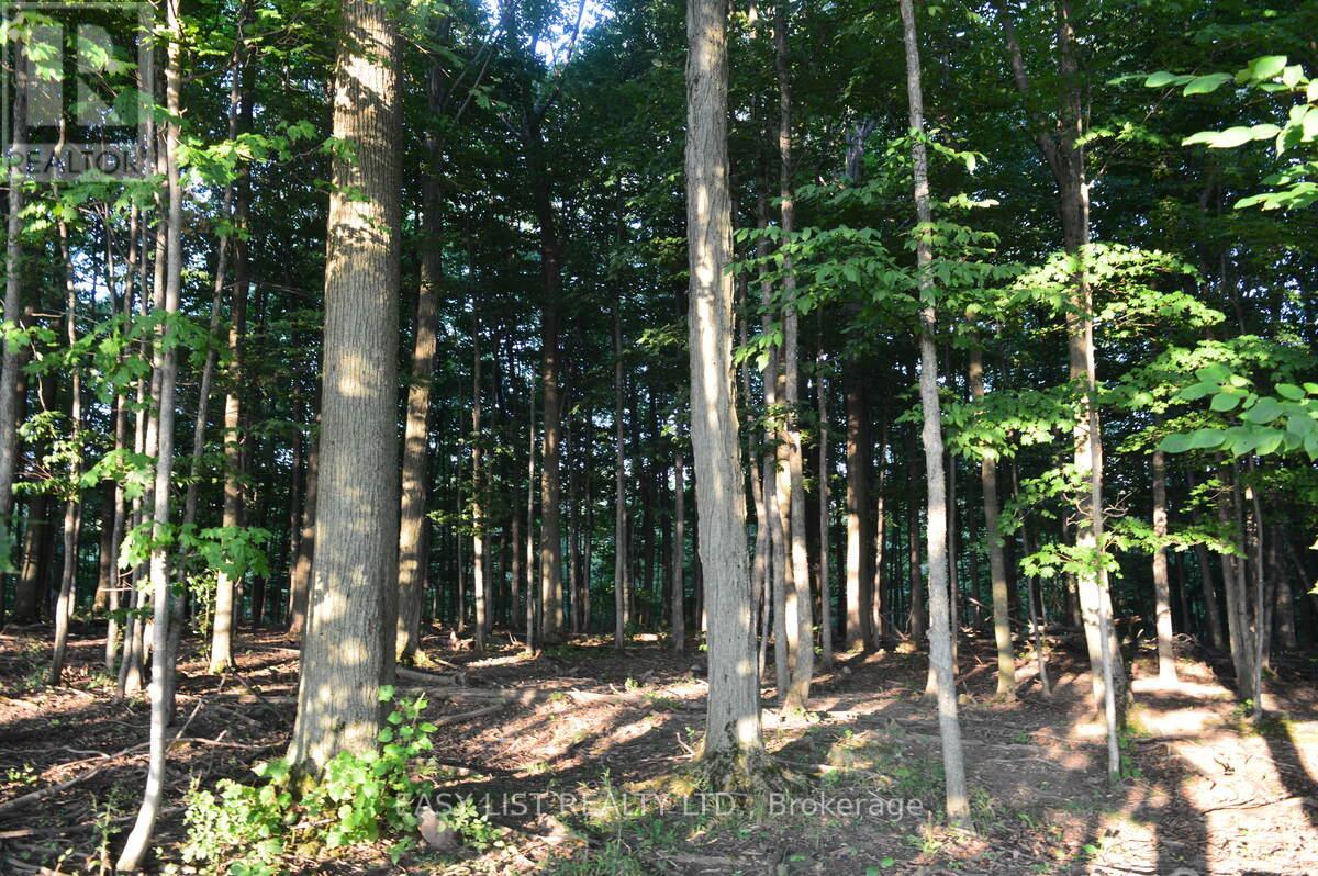 317278 Third Line, Meaford, Ontario  N4L 1W7 - Photo 43 - X12677138