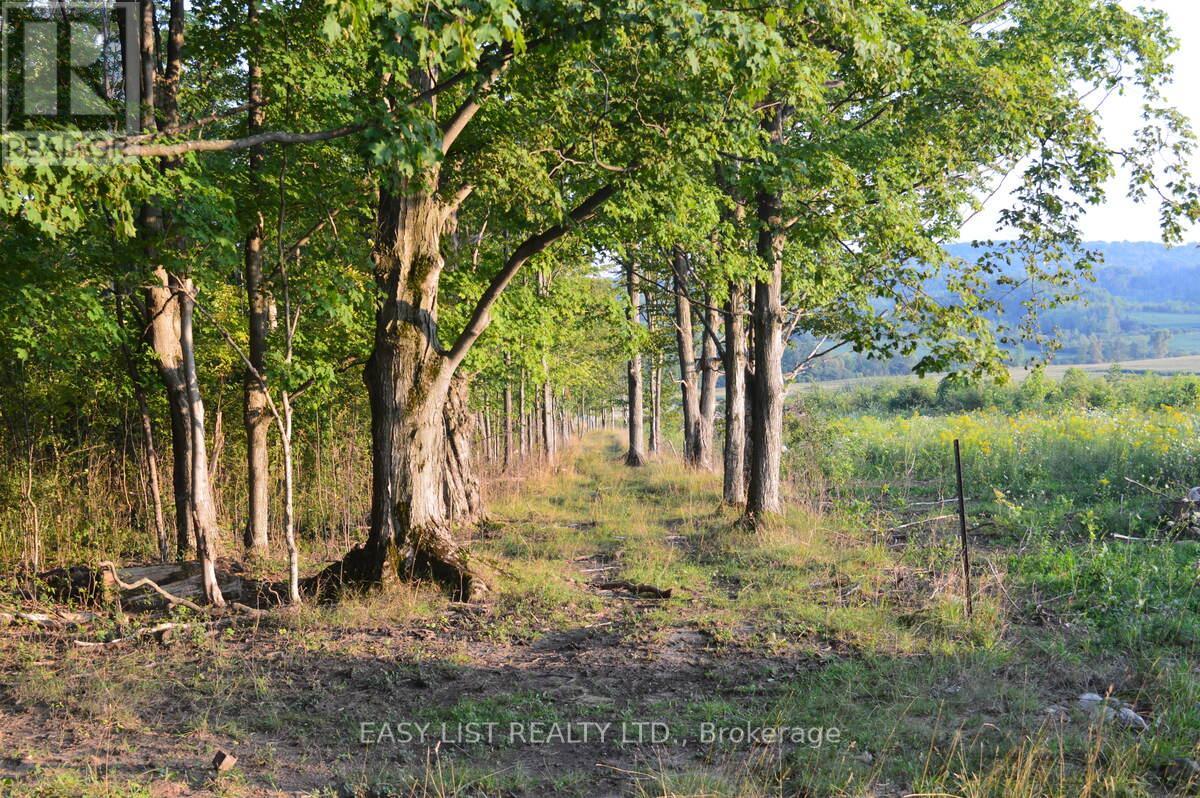 317278 Third Line, Meaford, Ontario  N4L 1W7 - Photo 44 - X12677138