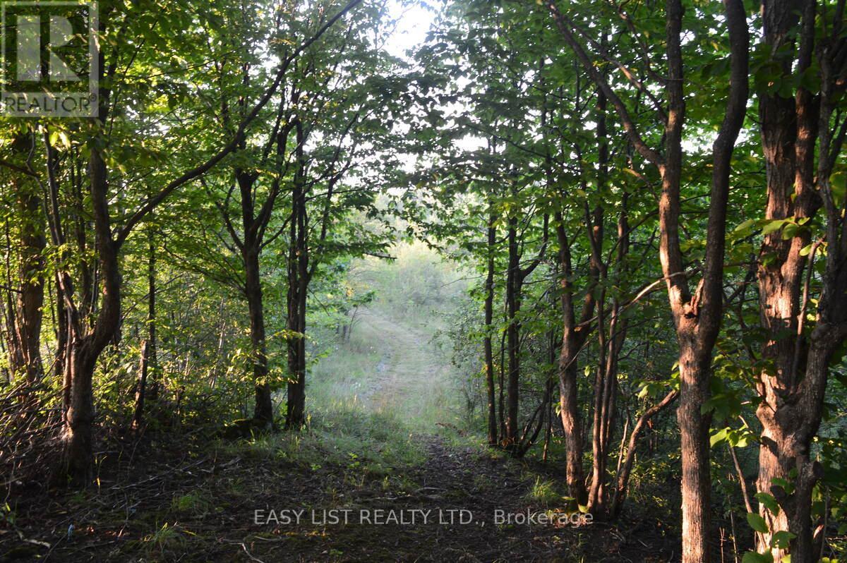 317278 Third Line, Meaford, Ontario  N4L 1W7 - Photo 45 - X12677138