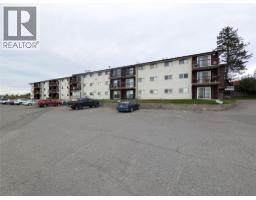280 ALDER Drive Unit# 206, logan lake, British Columbia
