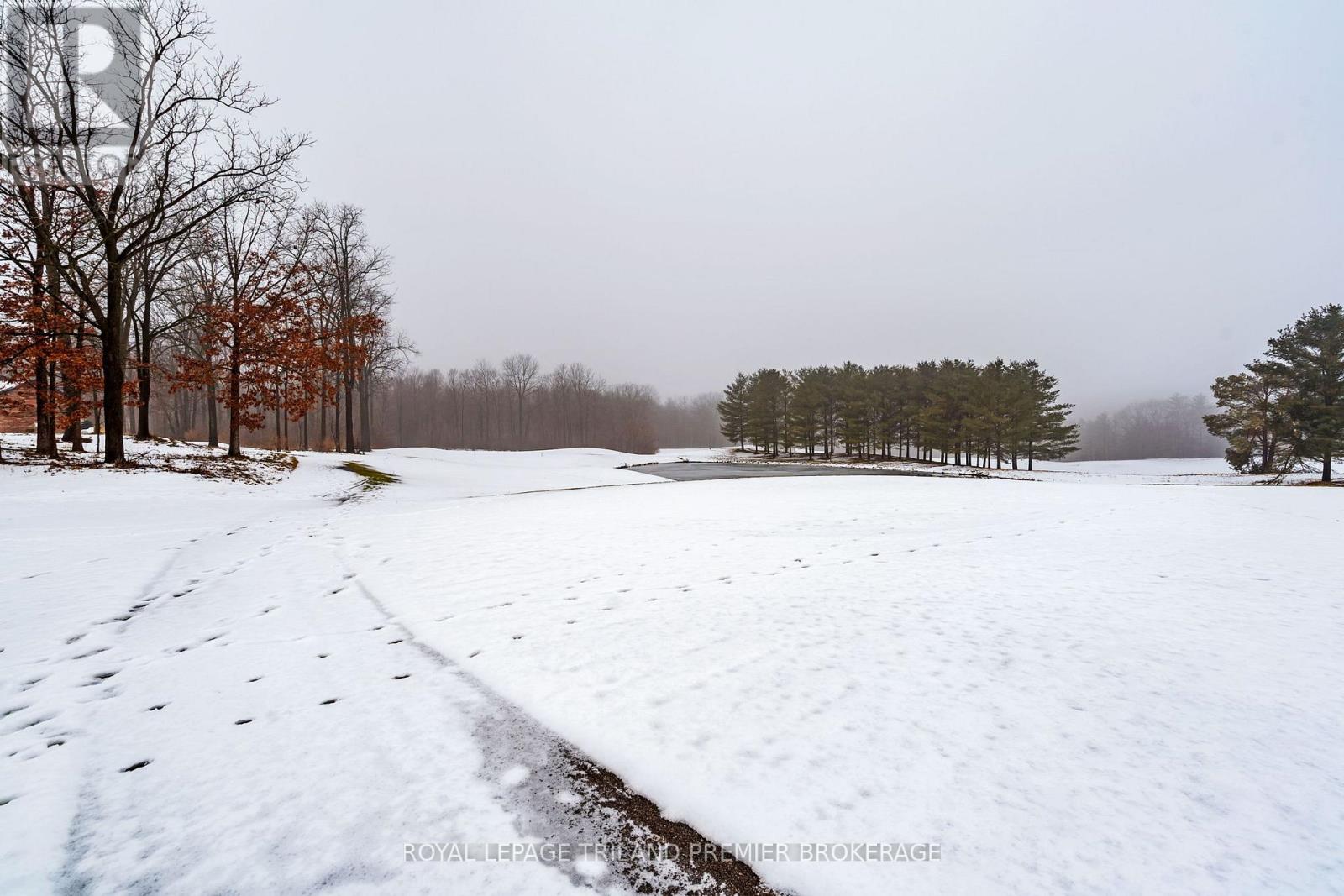 1303 Sandy Somerville Drive, London South, Ontario  N6K 5R4 - Photo 44 - X12677232