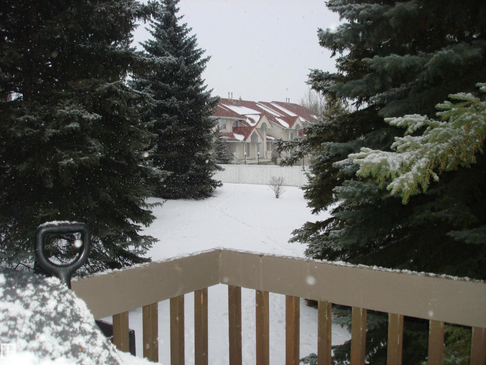 15114 45 Av Nw, Edmonton, Alberta T6H 5L1 - Photo 37 - E4469417