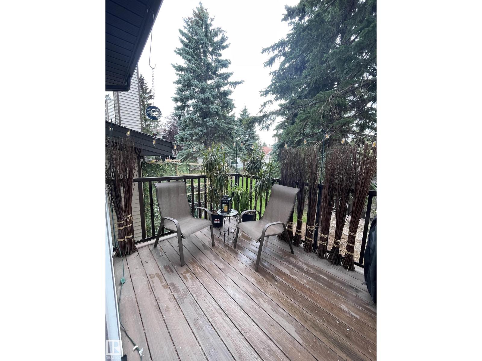 15114 45 Av Nw, Edmonton, Alberta T6H 5L1 - Photo 38 - E4469417