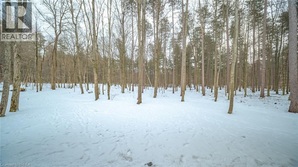 1498 12th Concession Road, Langton, Ontario  N0E 1G0 - Photo 42 - 40796768