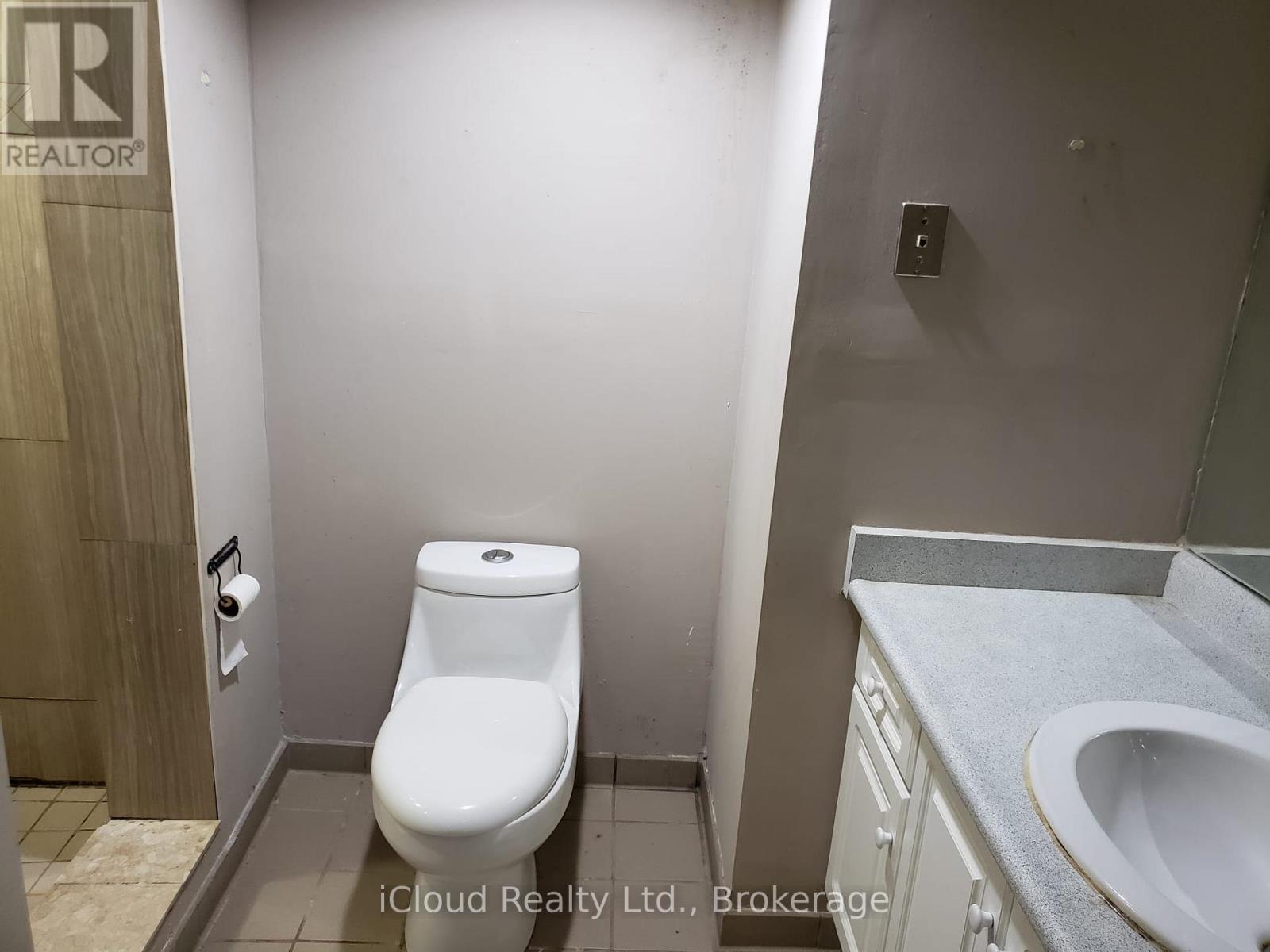 Basmnt - 429 Silverthorne Crescent, Mississauga, Ontario  L5R 1W4 - Photo 5 - W12677426