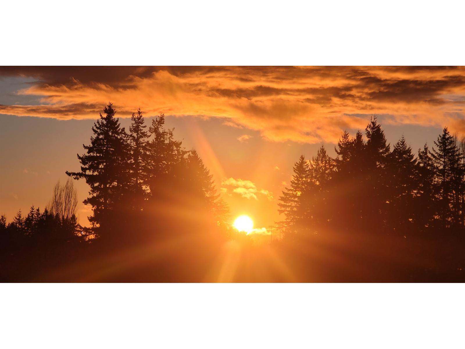 516 27218 Aldergrove Town Center Drive, Langley, British Columbia  V4W 0E4 - Photo 35 - R3077084