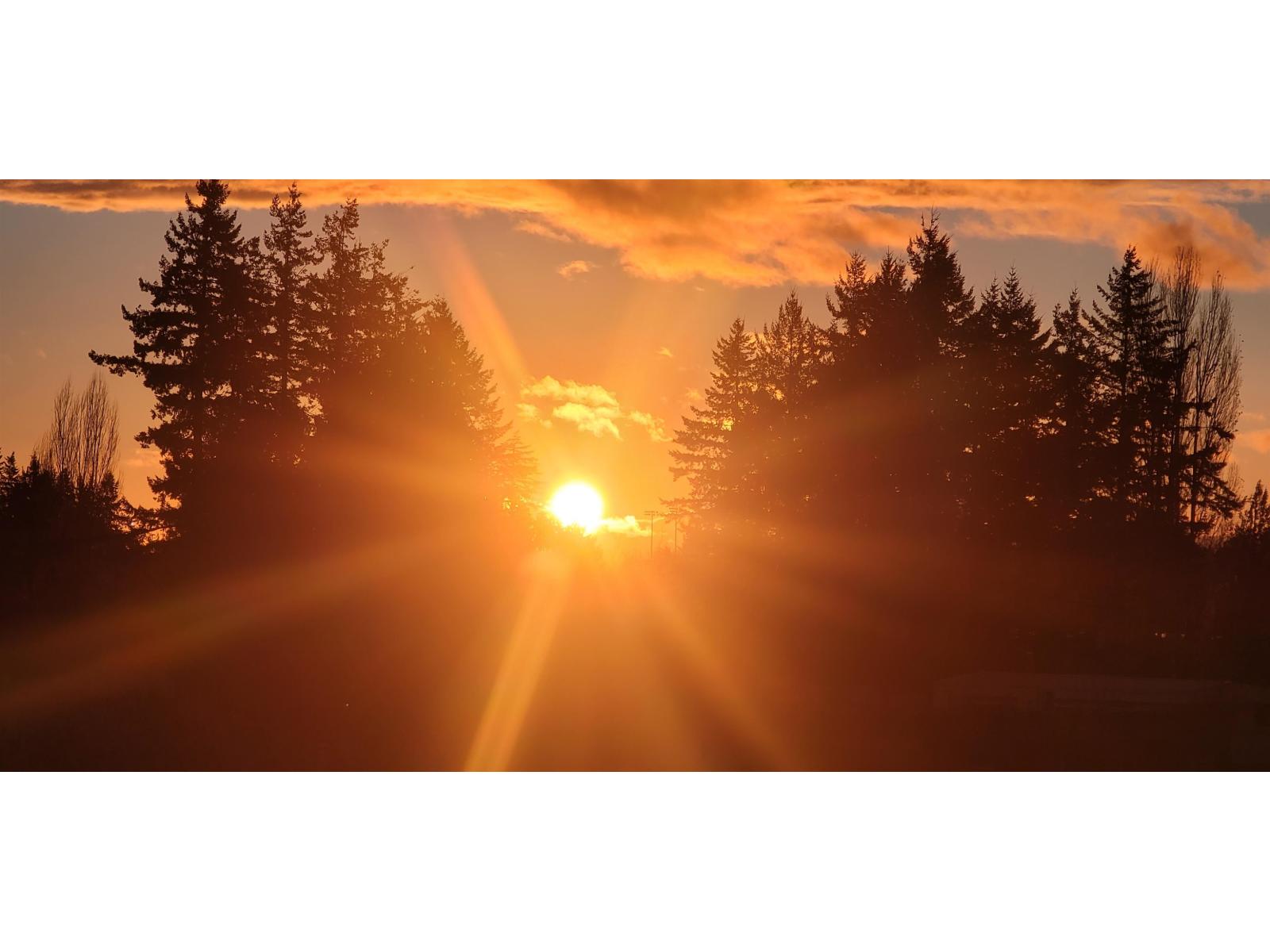 516 27218 Aldergrove Town Center Drive, Langley, British Columbia  V4W 0E4 - Photo 37 - R3077084