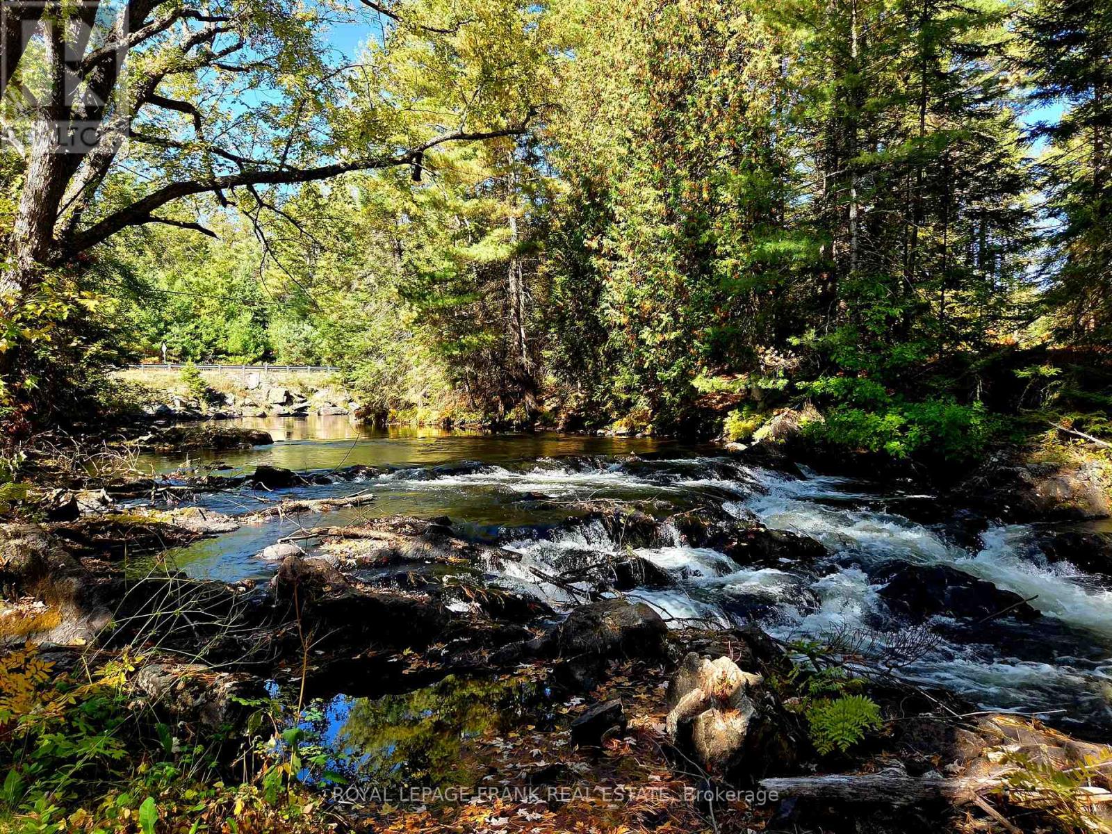 8847 Highway 28, North Kawartha, Ontario  K0L 1A0 - Photo 6 - X12677536