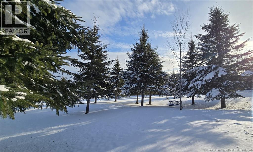 7663 17 Route, Kedgwick, New Brunswick  E8B 1W4 - Photo 4 - NB131862