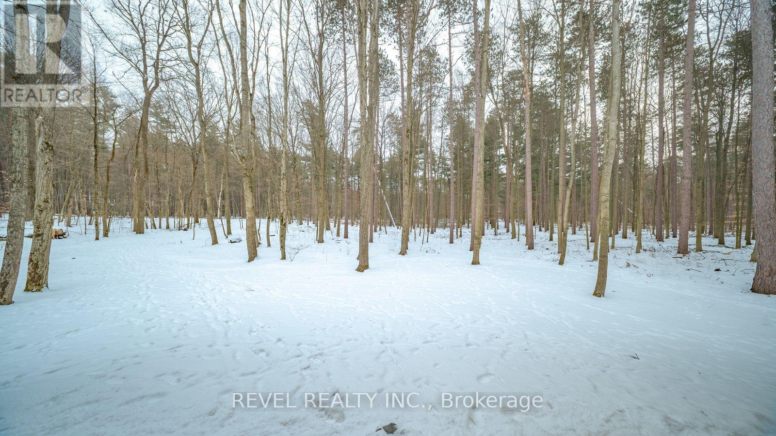 1498 12th Concession Road, Norfolk, Ontario  N0E 1G0 - Photo 40 - X12677592