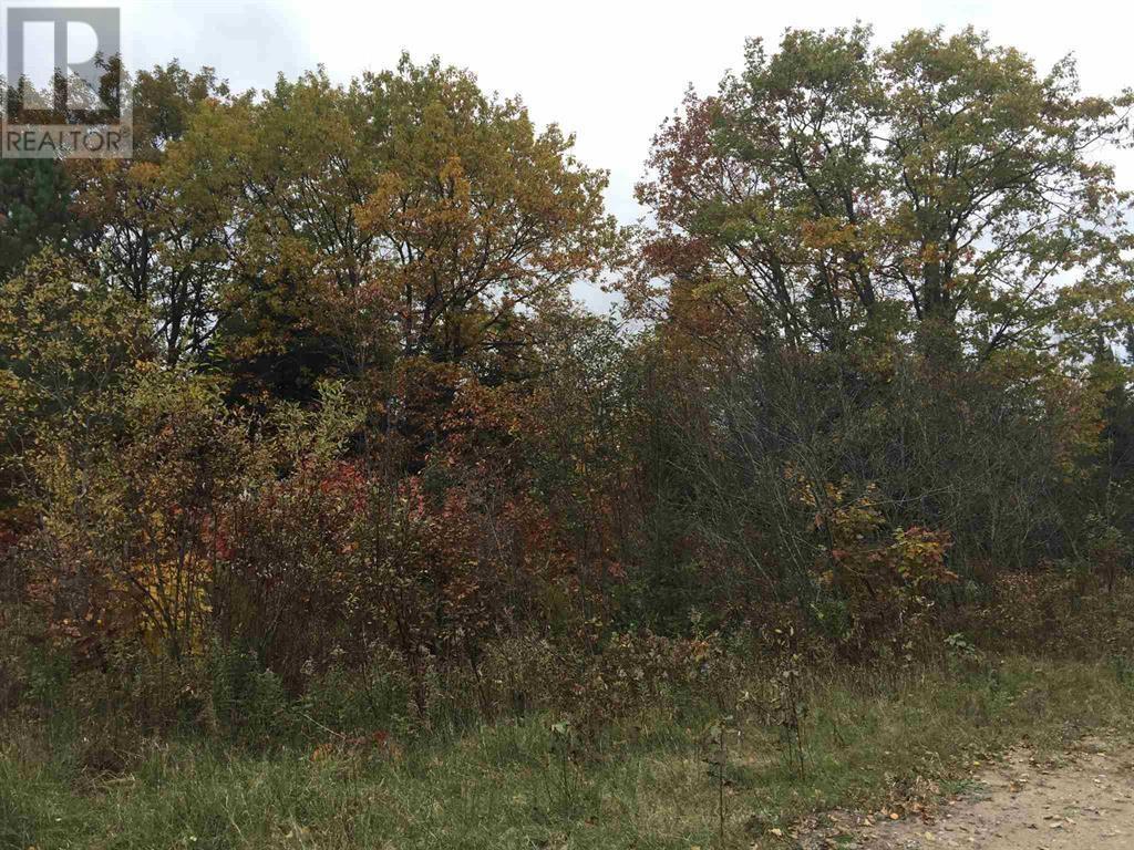 Lot 2 & 3 Con Nelson Dr, St. Joseph Island, Ontario  P0R 1G0 - Photo 19 - SM260058