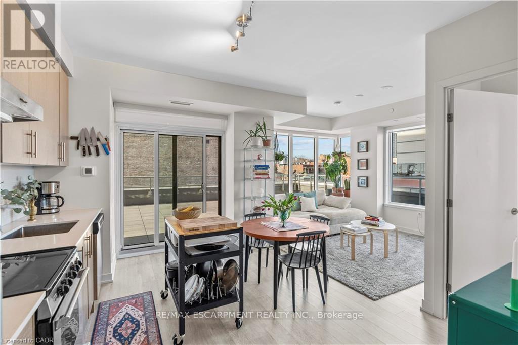 415 - 212 King William Street, Hamilton, Ontario  L8N 1B5 - Photo 6 - X12677656