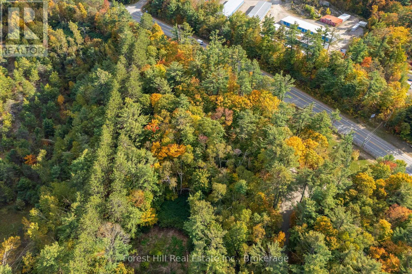 3864 Highway 118 W, Muskoka Lakes, Ontario P0B 1J0 - Photo 18 - X12677892