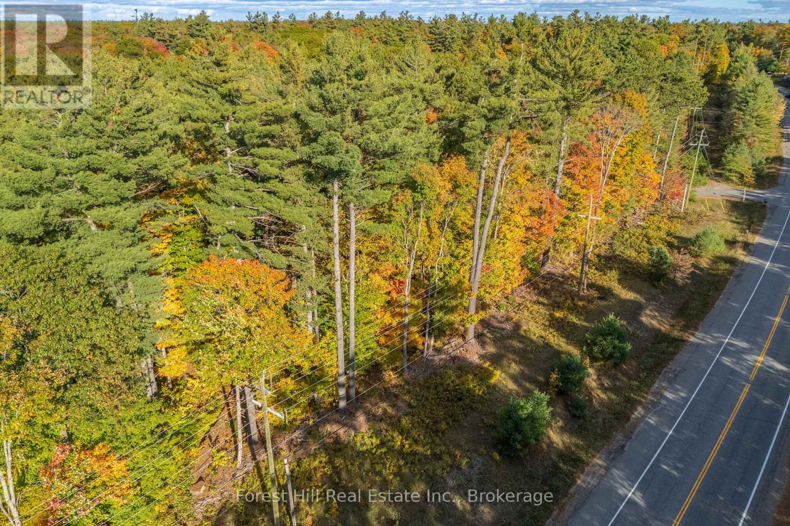 3864 Highway 118 W, Muskoka Lakes, Ontario P0B 1J0 - Photo 25 - X12677892