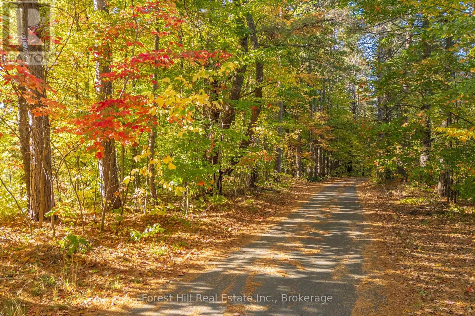 3864 Highway 118 W, Muskoka Lakes, Ontario P0B 1J0 - Photo 28 - X12677892