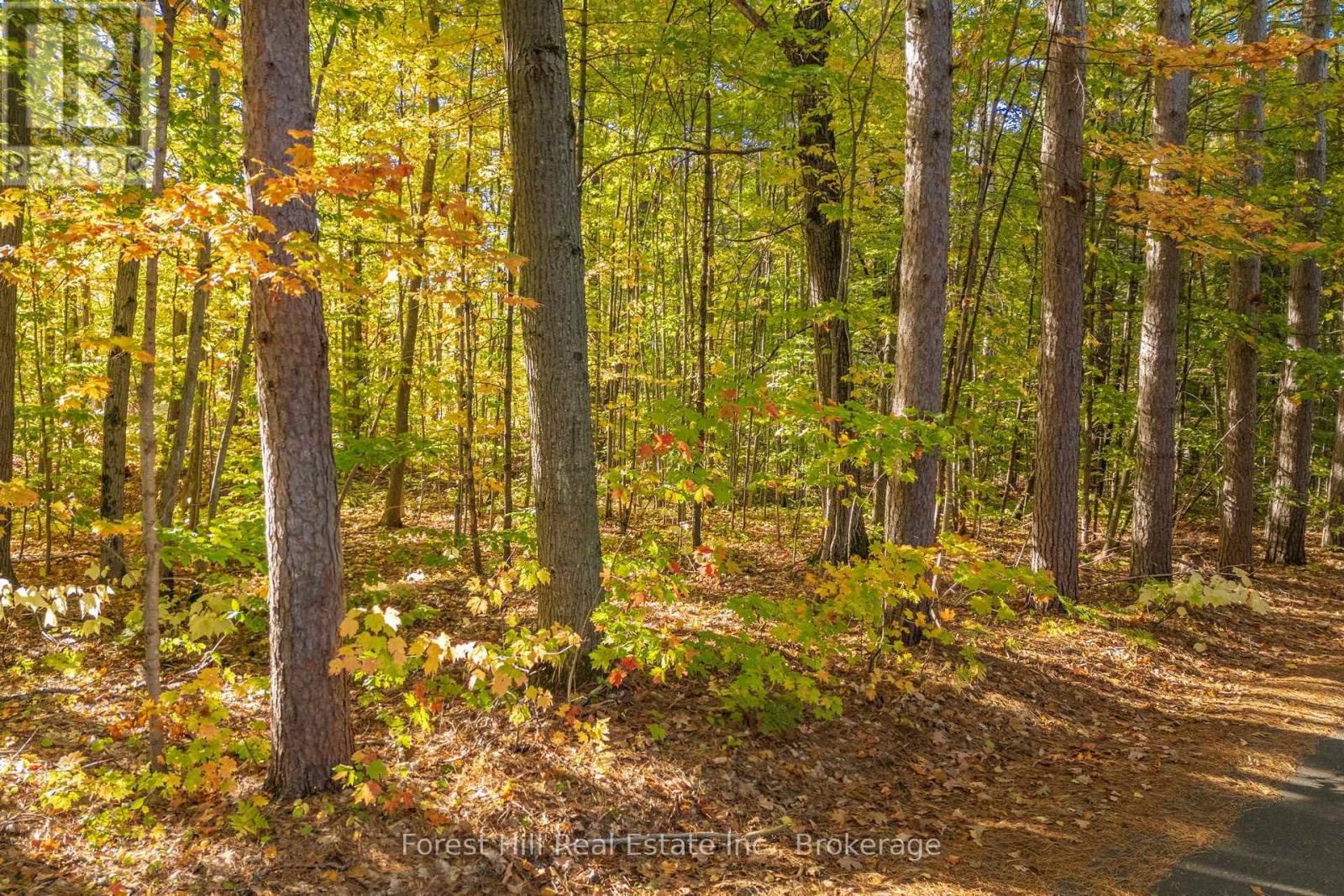 3864 Highway 118 W, Muskoka Lakes, Ontario P0B 1J0 - Photo 29 - X12677892